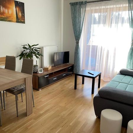 Ferienwohnung Apartman Jitka - Slunecna Louka Černý Důl Exterior foto